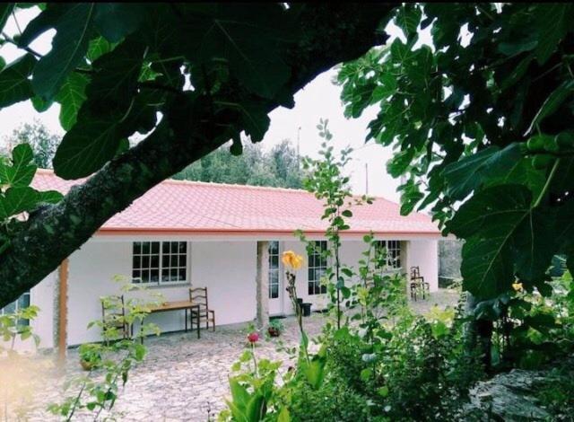 Casa Boavista Villa Paredes de Coura Ngoại thất bức ảnh